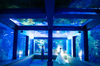 MaiBRIDE　津／ノードダモーレ　津_アドバイス写真