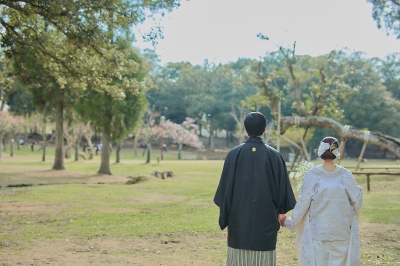 奈良公園で撮影したい方におすすめ_47977_投稿写真_1