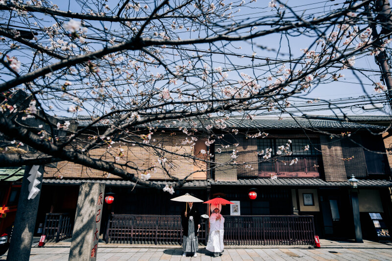 写真の綺麗さ、ヘア、メイク、着付け、衣装どれも本格的_48013_投稿写真_3