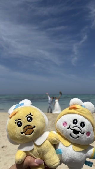 capryフォトウェディング石垣島（キャプリィフォトウェディング石垣島）_アドバイス写真