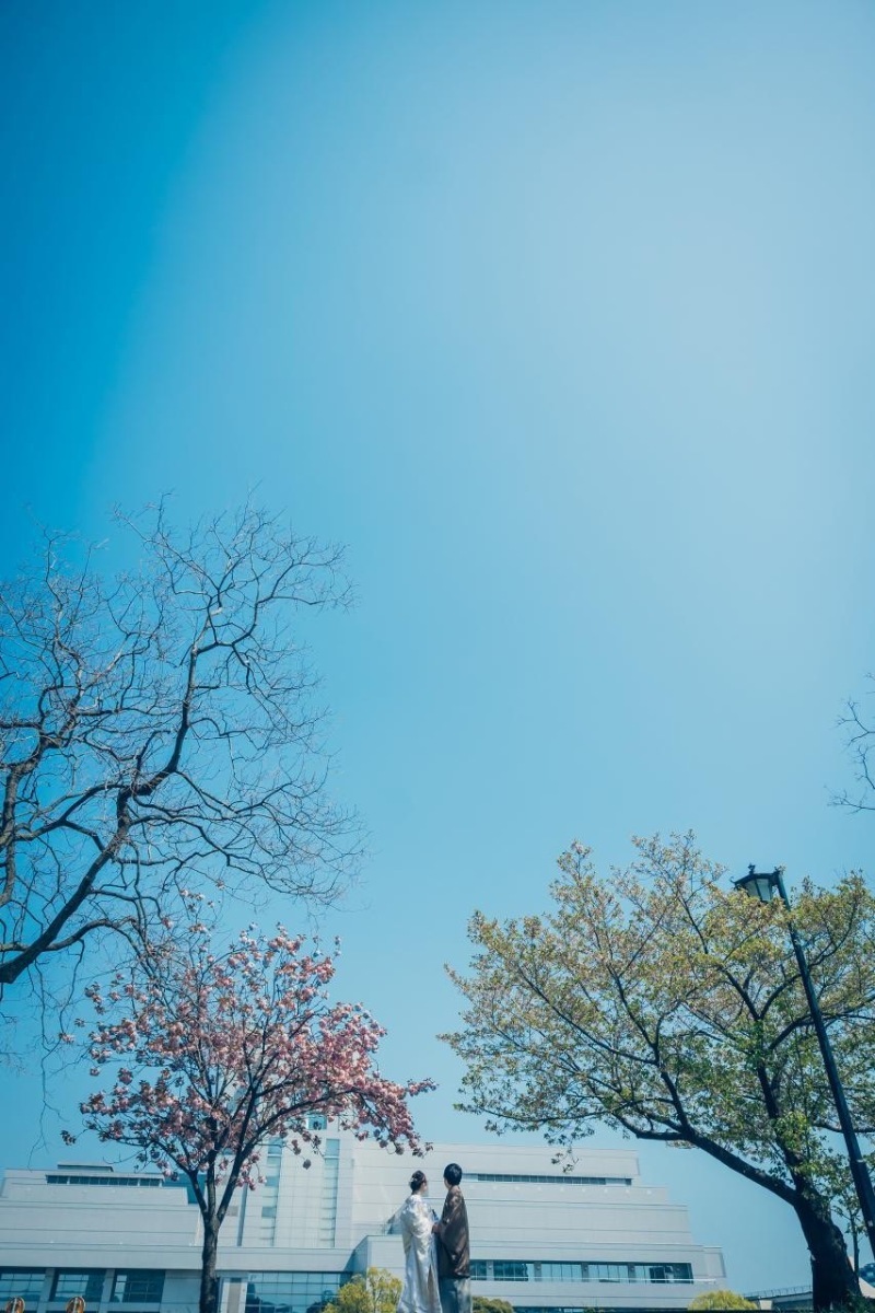 撮影に向けた柔軟な対応が魅力です。_48081_投稿写真_1