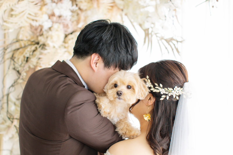 愛犬との撮影OK◎愛犬のかわいい表情も引き出してもらえます！_48162_投稿写真_2