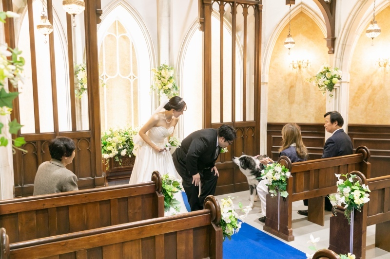 きっと最高の1日が過ごせます！_54519_投稿写真_2