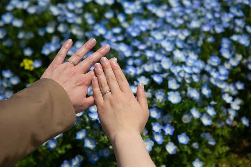 ル・トレフル produced by スタジオエス_投稿写真