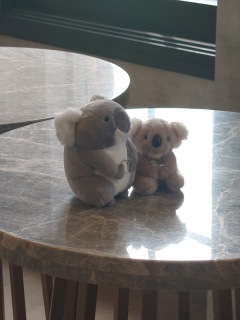 ONE PHOTOWEDDING OSAKA-JO_アドバイス写真