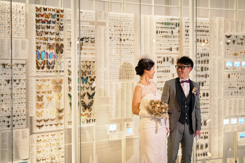 写真だけの結婚式　ecoo（エクー）_投稿写真