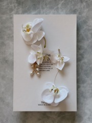 atelier Rulucca幕張スタジオ_アドバイス写真