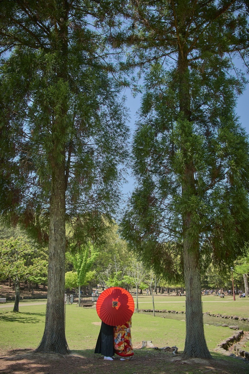 奈良で撮るナラ絶対ここがおすすめ！！_48310_投稿写真_3