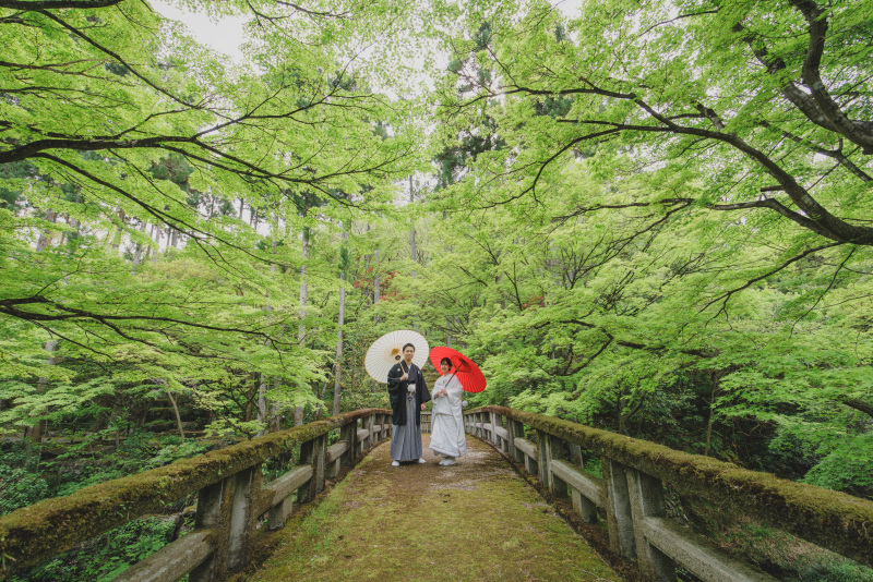 緑が映える！！！撮影スポットたくさん！_48361_投稿写真_2