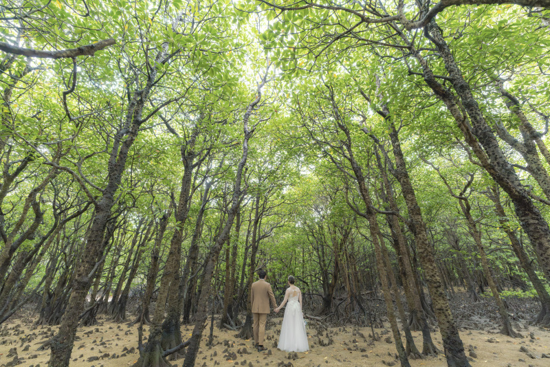 石垣島の素敵な場所で撮影_48415_投稿写真_1