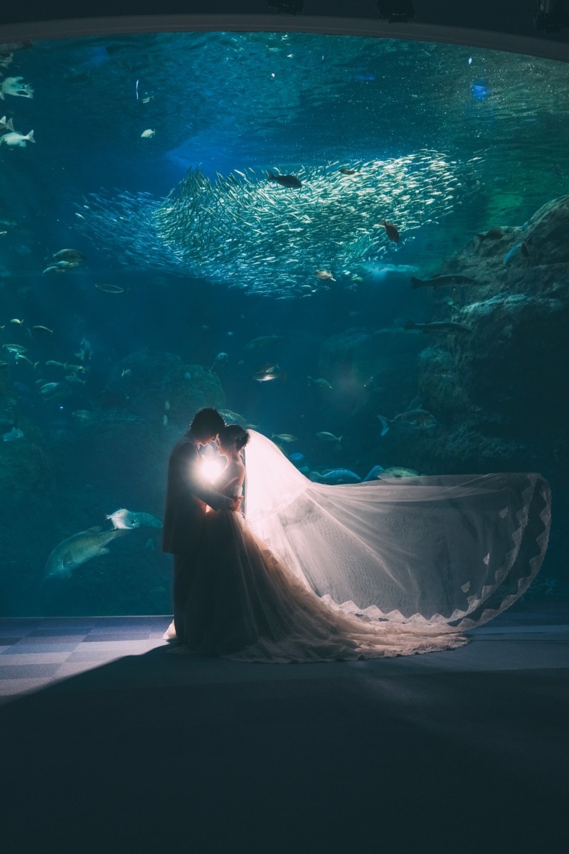 Jheart 江ノ島（ジェイハート エノシマ）_投稿写真