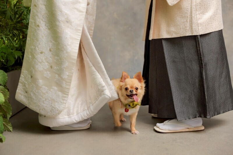 studio clori. OSAKA_投稿写真