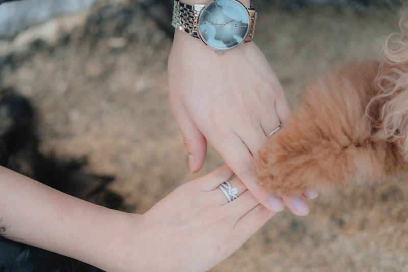 THE STORY WEDDING _投稿写真