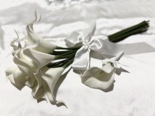 ONE PHOTOWEDDING OSAKA-JO_アドバイス写真