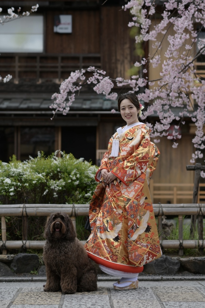 フォトウエディング華_投稿写真