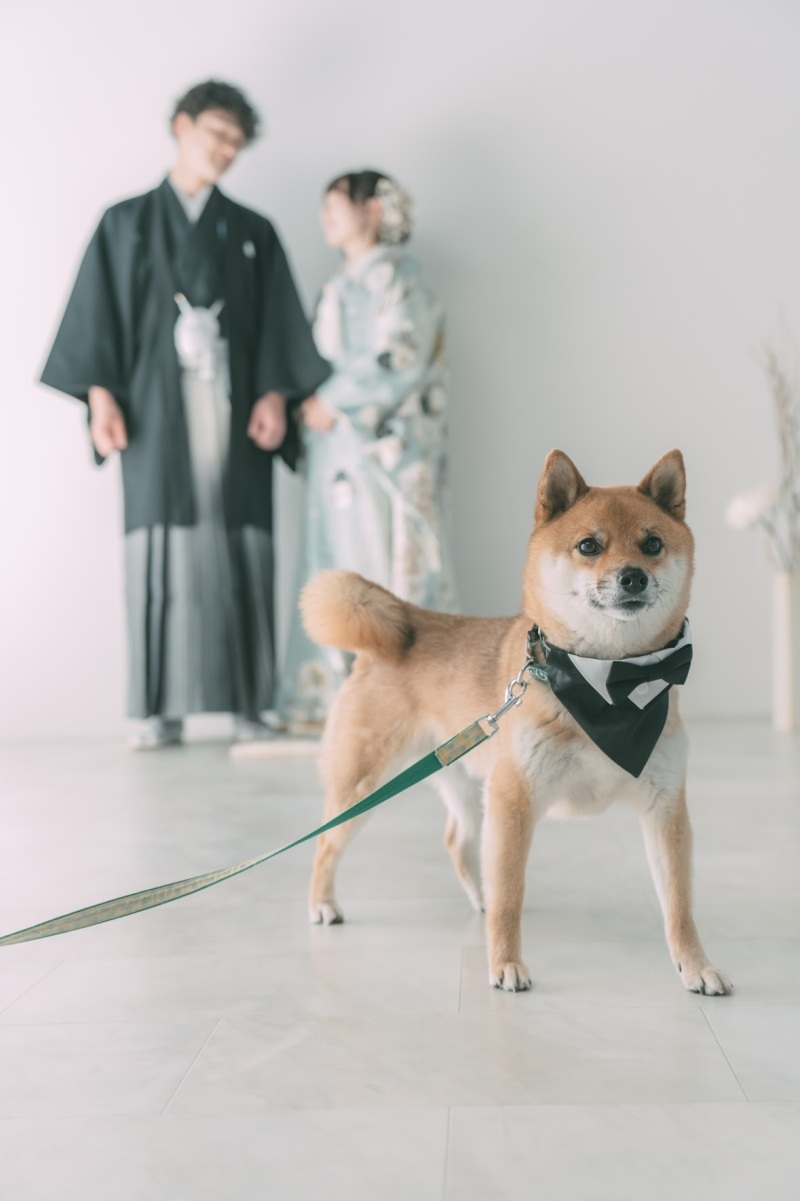 楽しい撮影_48948_投稿写真_1