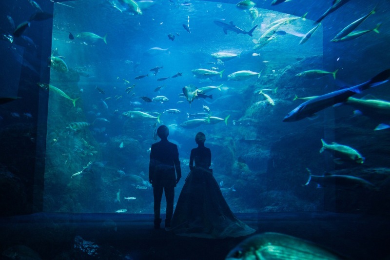 Jheart 江ノ島（ジェイハート エノシマ）_投稿写真