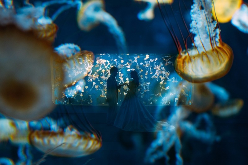 Jheart 江ノ島（ジェイハート エノシマ）_投稿写真