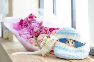 KANON wedding_アドバイス写真