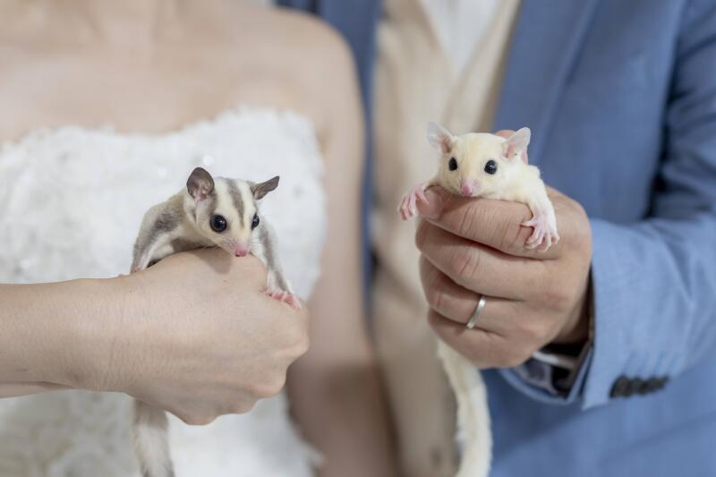 KANON wedding_投稿写真