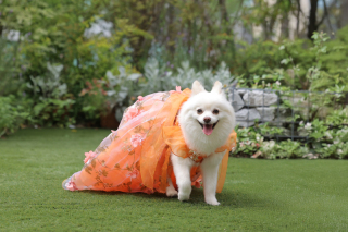 PHOTO WEDDING FLEUR_アドバイス写真