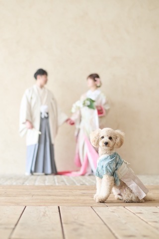 サロンドパルール　salon de parure_アドバイス写真