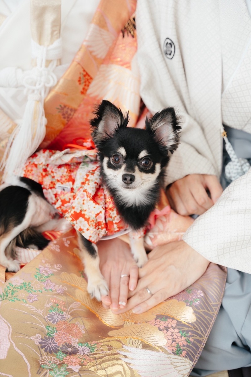 【大満足】終始とても楽しい撮影でした_49311_投稿写真_2