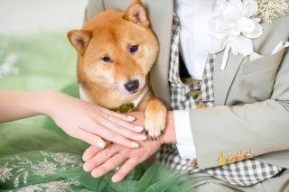 Photo Studio Cocozo（フォトスタジオココゾ）長崎・佐世保_アドバイス写真