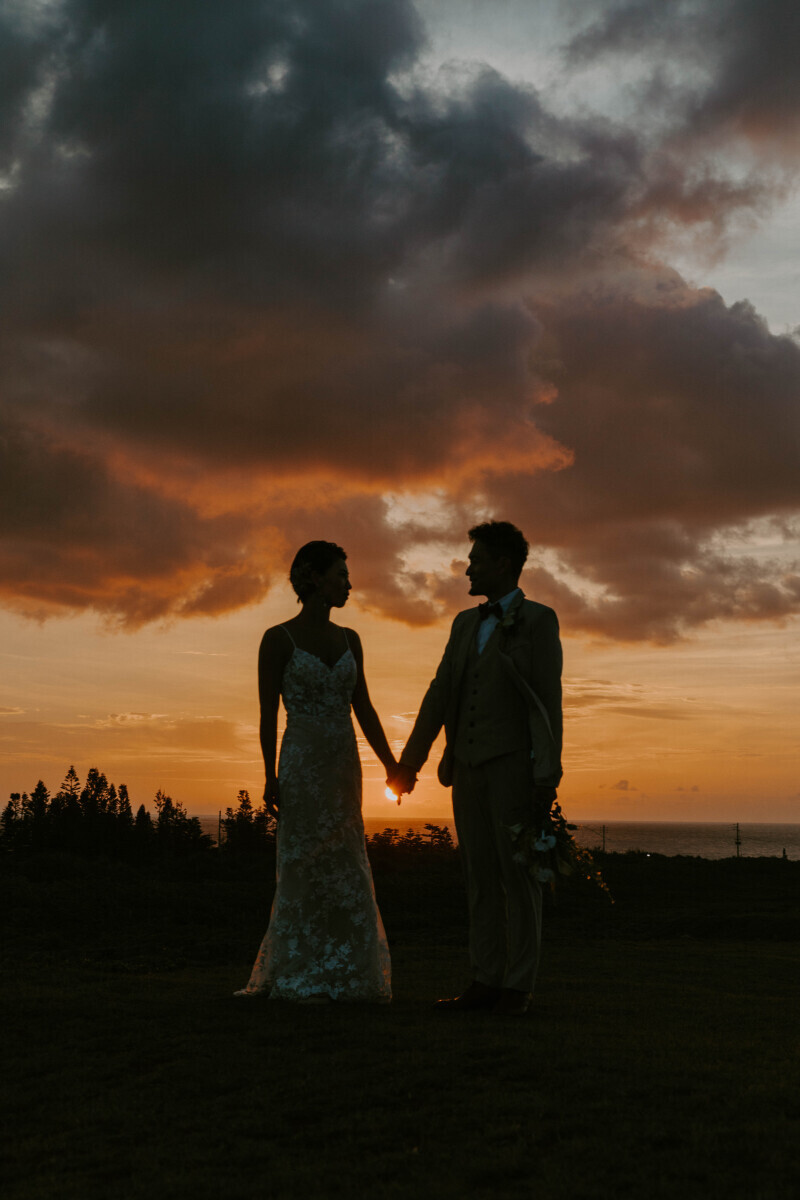 NOREN MUSE_投稿写真