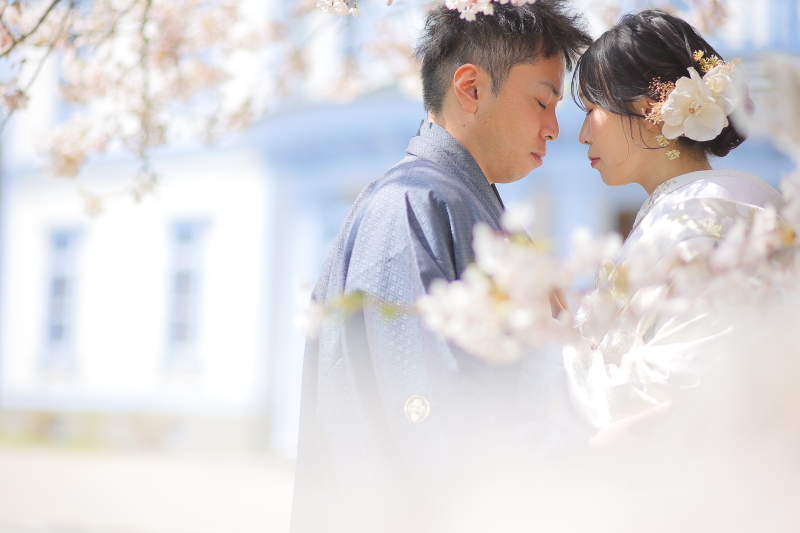 和装×桜でのロケーション撮影が素敵_49736_投稿写真_3