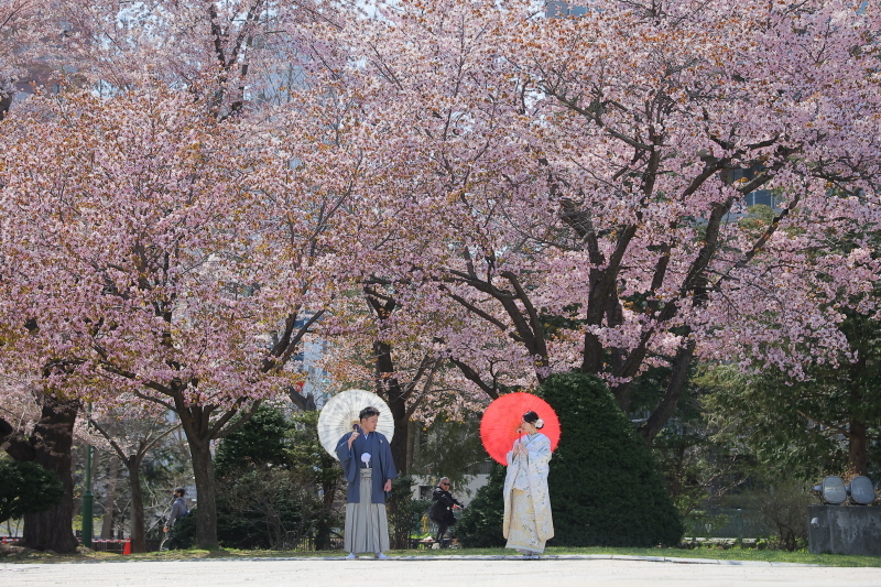和装×桜でのロケーション撮影が素敵_49736_投稿写真_2