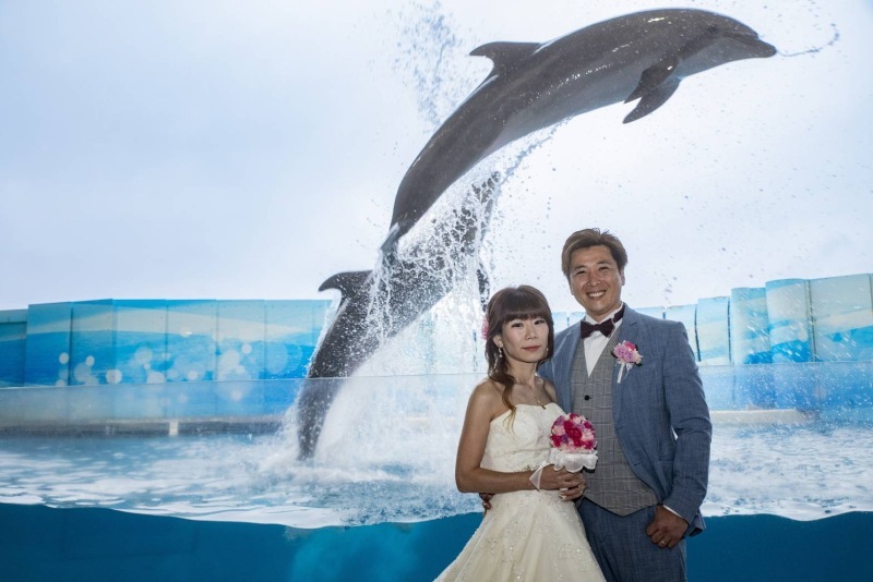 遠方からでも行く価値あり！_49817_投稿写真_1