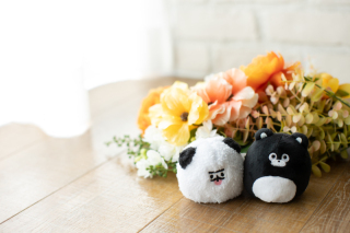 写真だけの結婚式　ecoo（エクー）_アドバイス写真