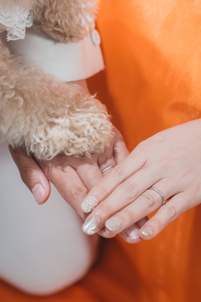 ペットと撮影可能でチャペルはとても豪華です。_50081_投稿写真_3