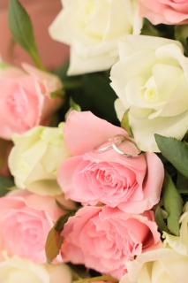 studio LUMINOUS 名古屋_アドバイス写真