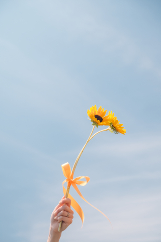 Jheart 江ノ島（ジェイハート エノシマ）_アドバイス写真