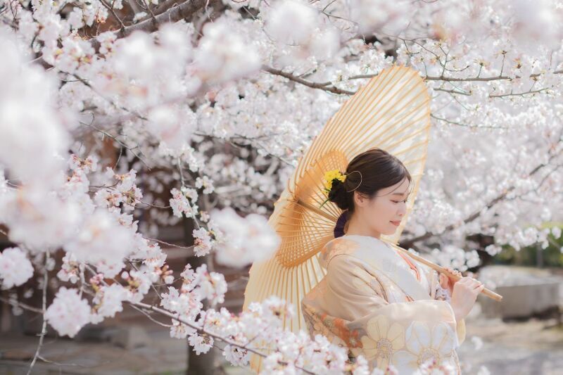 桜のシーズンにお気に入りのお寺で撮影できました！_50460_投稿写真_1