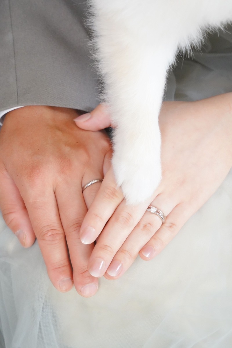 仙台で愛犬とフォトウェディング！ナチュラルなスタジオで◎_50527_投稿写真_1