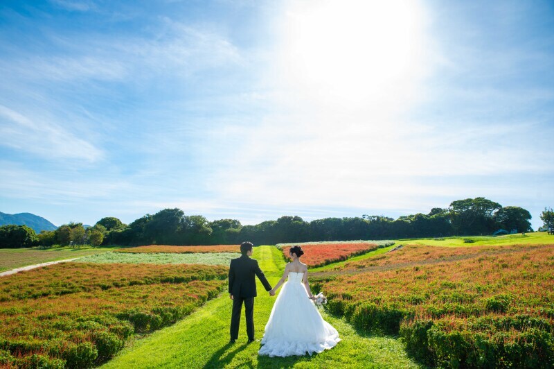 関西での前撮りはかなりおすすめです_50593_投稿写真_2