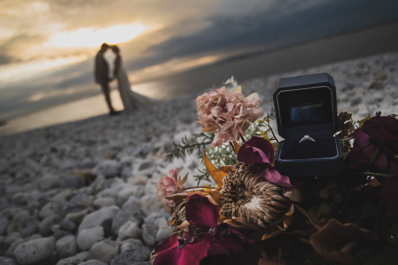 楽しく撮影させていただきました_50657_投稿写真_1