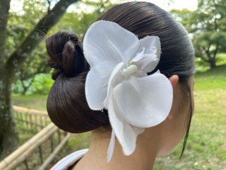 京都 美翔苑（KYOTO BISHOUEN）_アドバイス写真