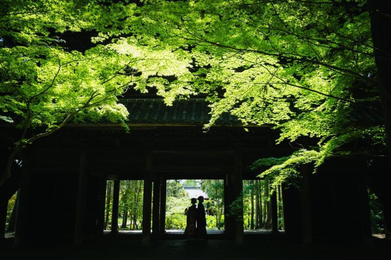 ロケーション撮影で素敵な写真が撮れました！_50750_投稿写真_3