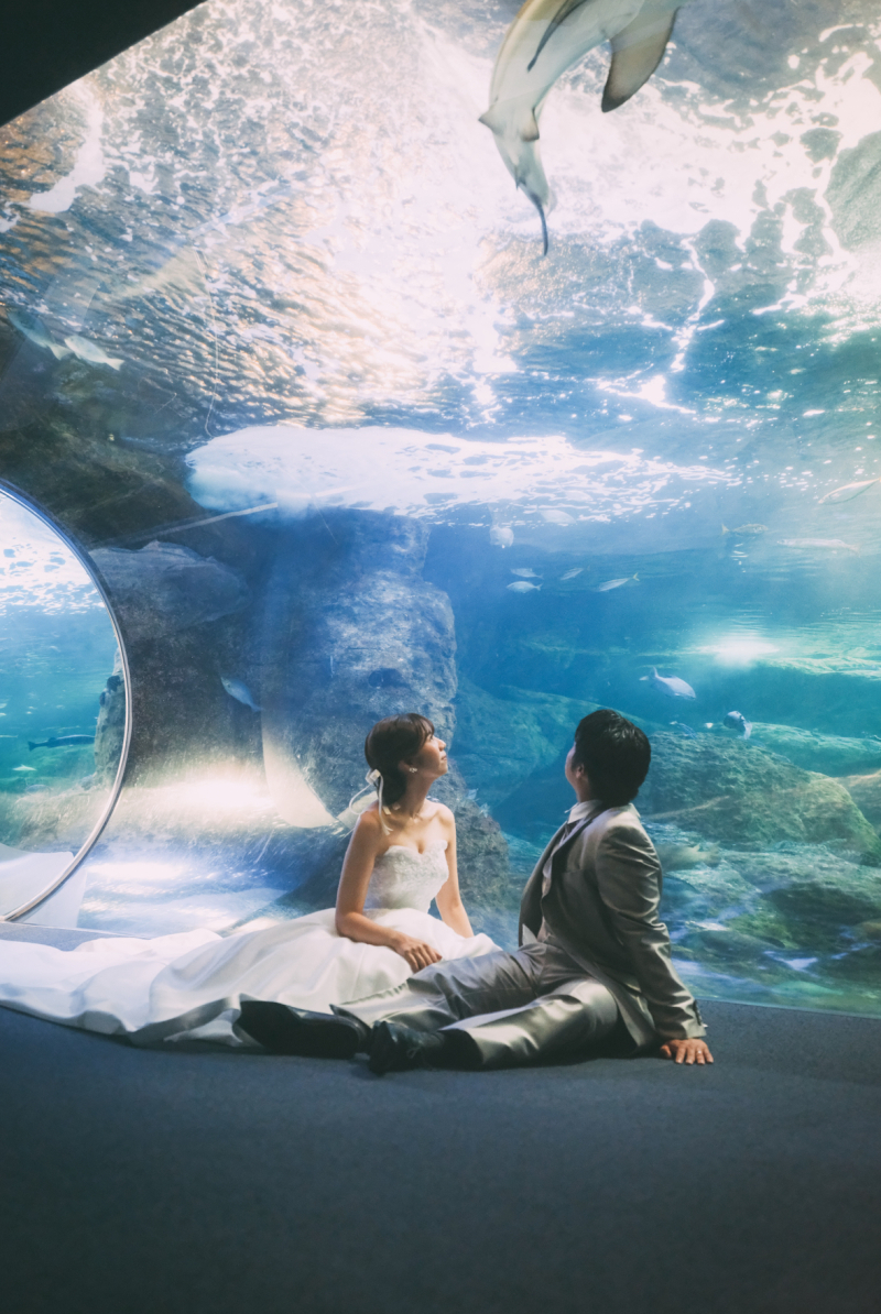 一生に一度の新江ノ島水族館での撮影_50776_投稿写真_1