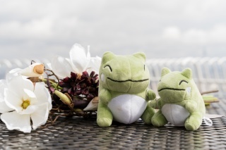 STYLE＋東京_アドバイス写真