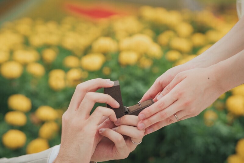 丘のうえ（Hills Studio）_投稿写真