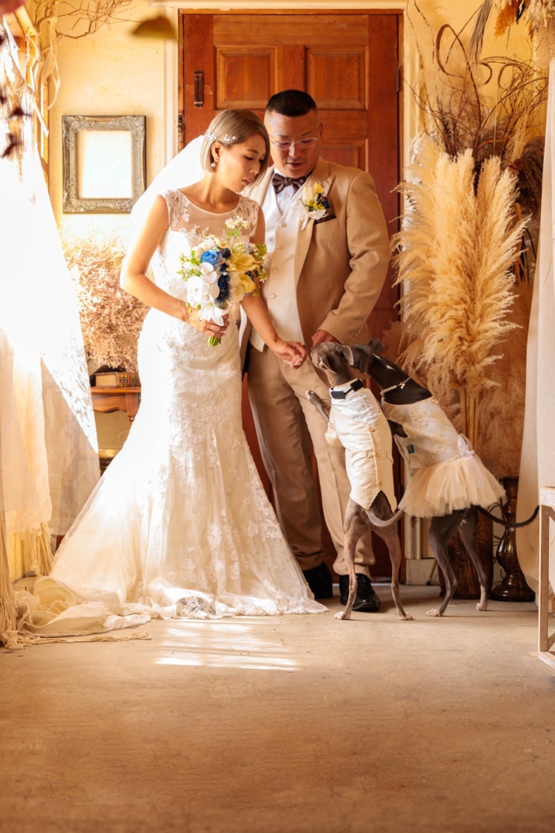 スタジオで撮ったのですが華やかでお洒落な写真が撮れます！_50917_投稿写真_1