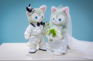 CELES LaVie　セレスラヴィ 西日暮里_アドバイス写真