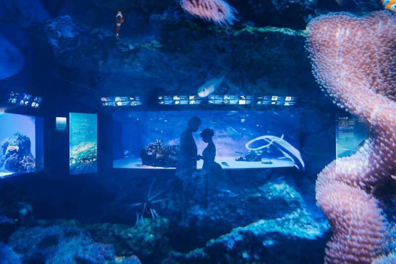 江の島水族館での撮影できるポイントが良かったです。_51026_投稿写真_1