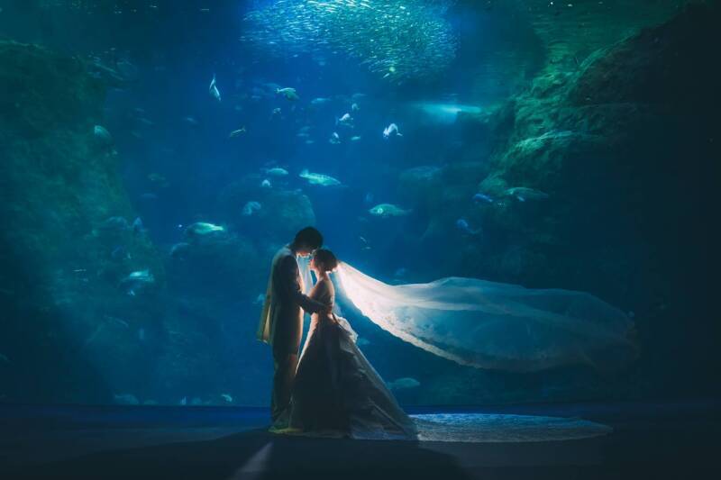 江の島水族館での撮影できるポイントが良かったです。_51026_投稿写真_3