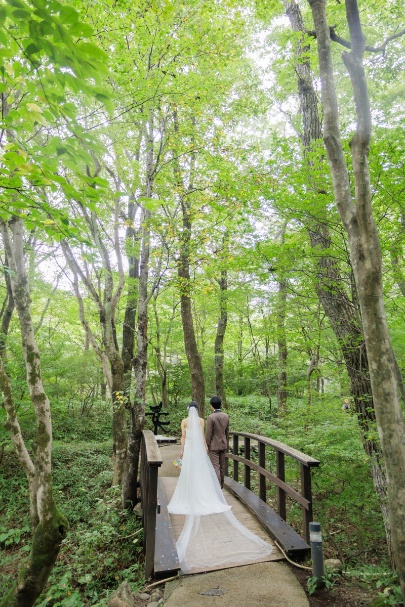 ここで撮りたいを叶えてくれる_51516_投稿写真_1